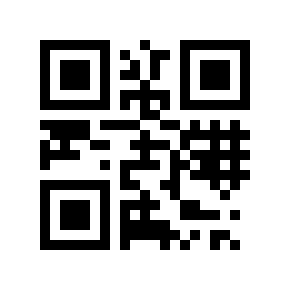 static_qr_code_without_logo 2